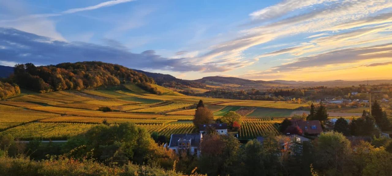 Paradies 2 Castellberg-Jakobsweg Döttingen المظهر الخارجي الصورة