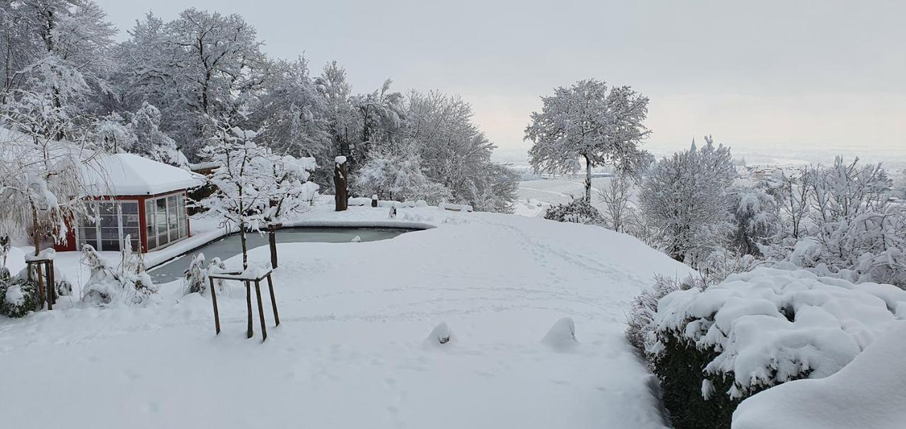 Paradies 2 Castellberg-Jakobsweg Döttingen المظهر الخارجي الصورة