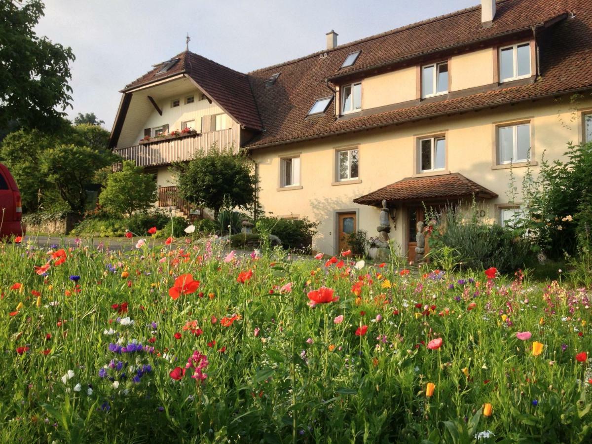 Paradies 2 Castellberg-Jakobsweg Döttingen المظهر الخارجي الصورة